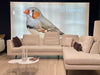 AUGUST bank van Moome bij Louter Design Zaandam